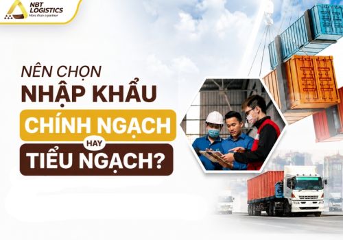 Nên Chọn Nhập Khẩu Chính Ngạch Hay Tiểu Ngạch? So Sánh Chi Tiết Từ A-Z