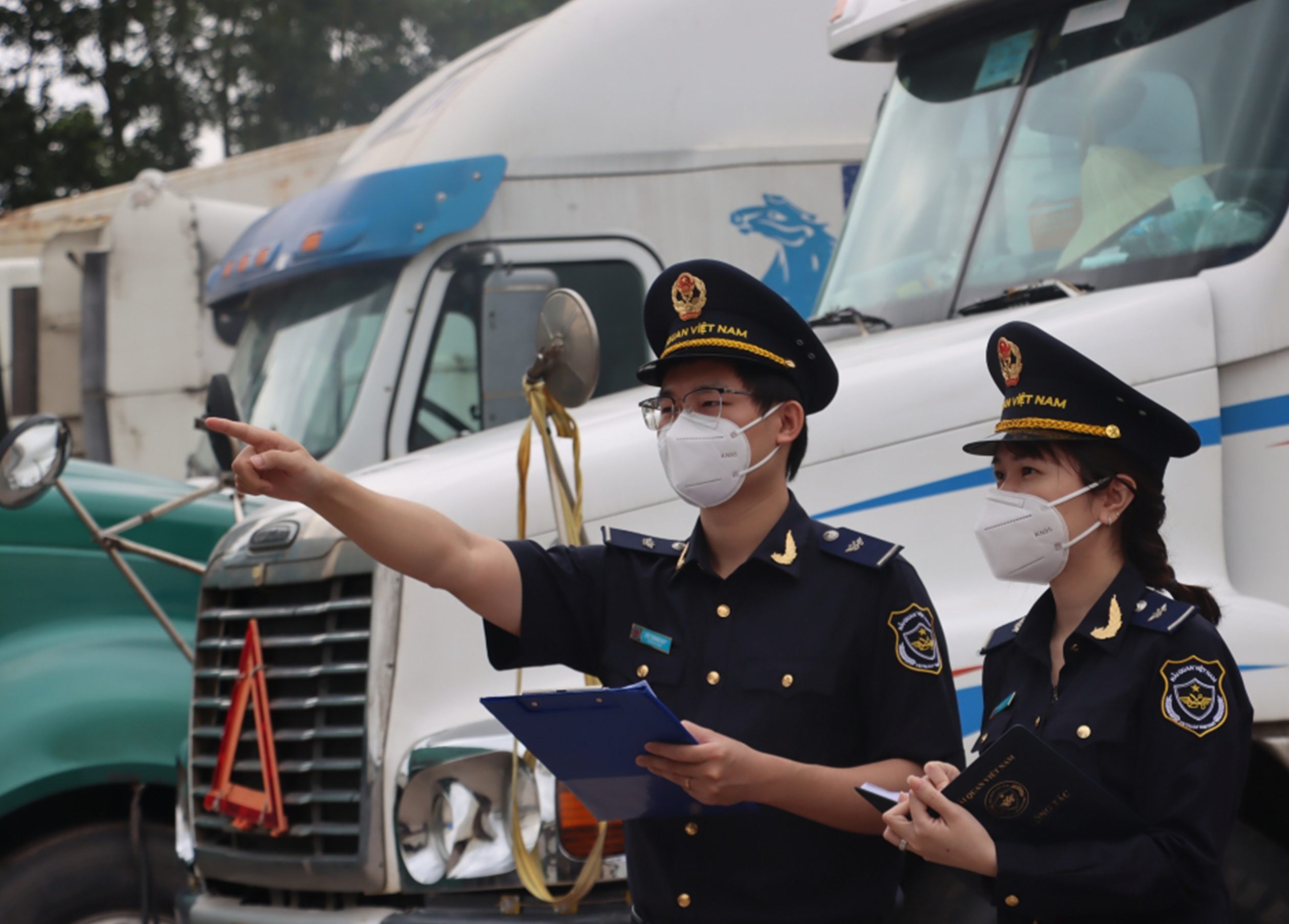 khai-bao-hai-quan_3_1