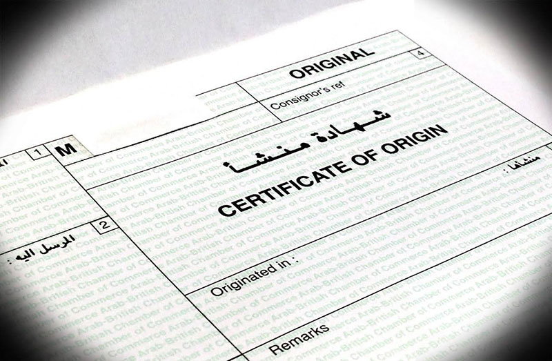 loi-ich-cua-van-chuyen-chinh-ngach-2