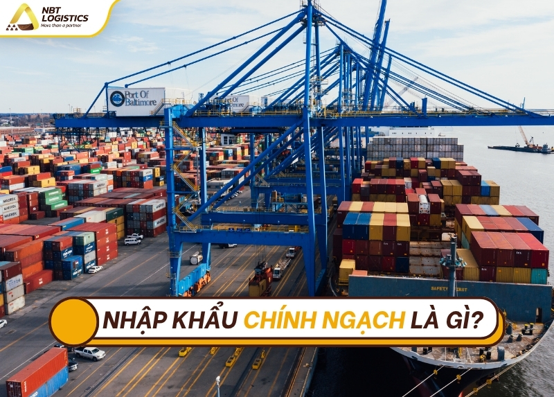 nen-chon-nhap-khau-chinh-ngach-hay-tieu-ngach-1