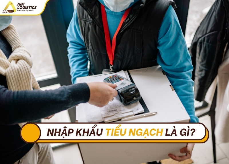 nen-chon-nhap-khau-chinh-ngach-hay-tieu-ngach-2