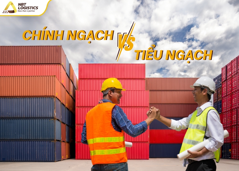 nen-chon-nhap-khau-chinh-ngach-hay-tieu-ngach-3