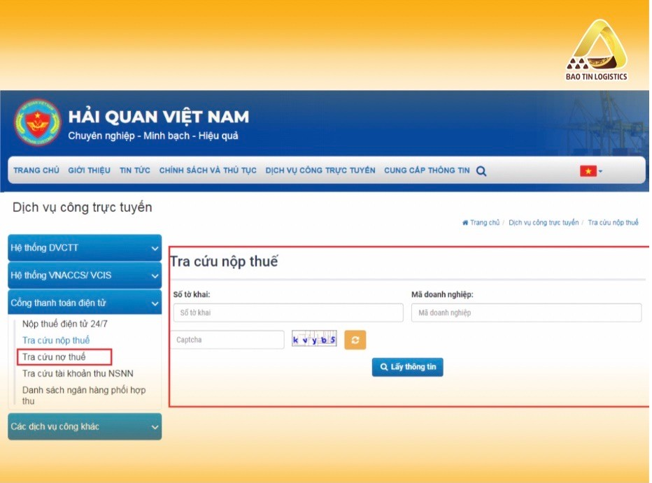 tra-cuu-thong-tin-to-khai-3