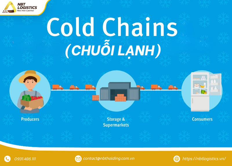 vai-tro-cua-chuoi-lanh-2